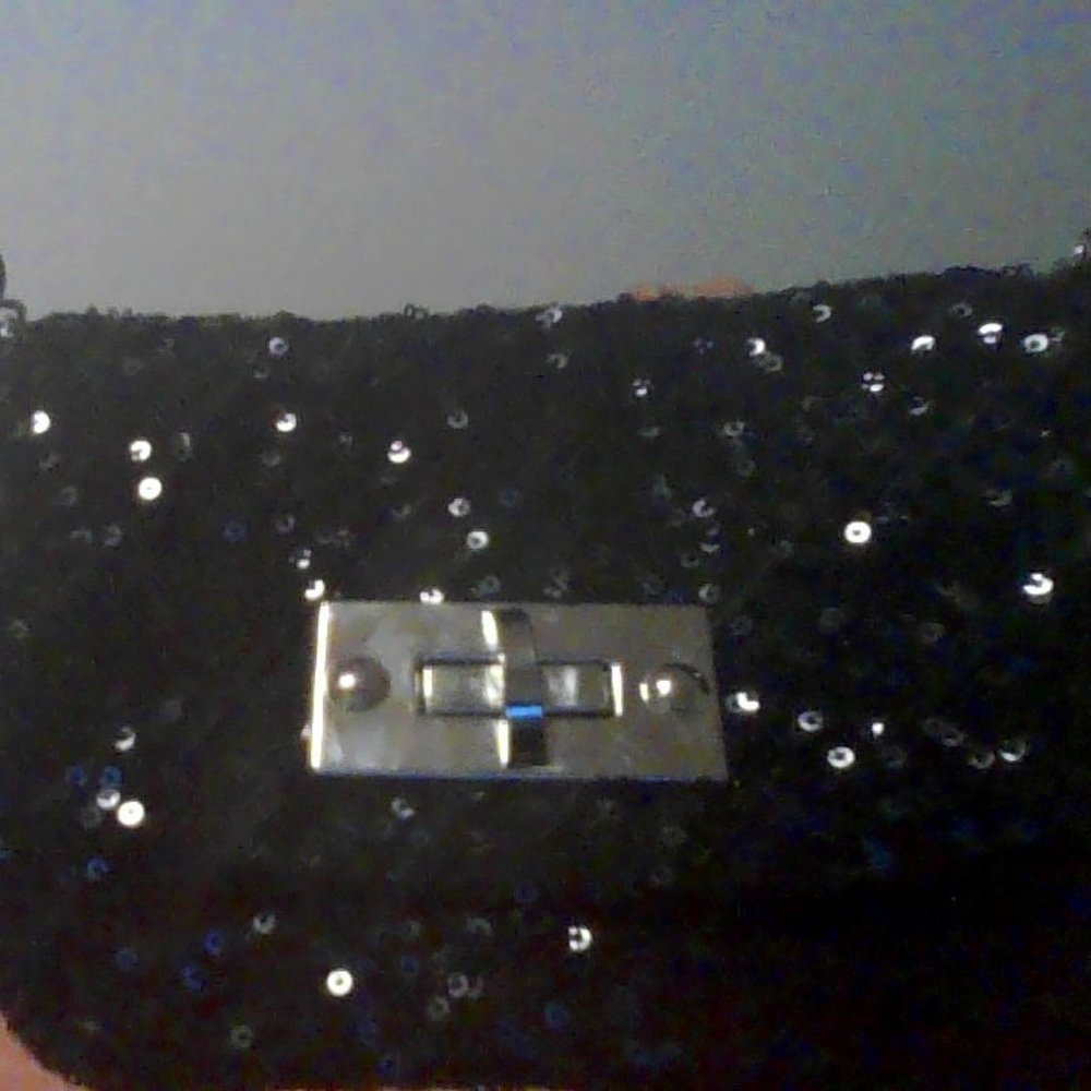 Black sparkly purse